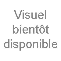 Casques multi-usages Spider Mouse - Work